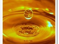 oil